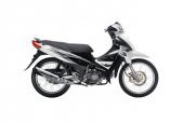 2011 Modenas CT 110 photo
